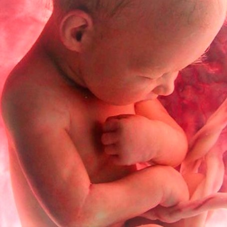 bebê cresce é incrivel